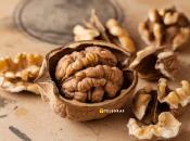 Молодые орехи оставляют посл себя темные пятна