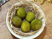 Оливкові крашанки до Великодня