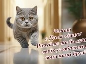 Поздравьте с Днем кошки 17 февраля