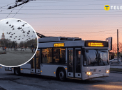 Слов'янськ та тролейбус