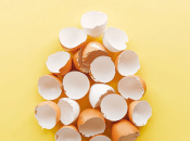 Яєчна шкаралупа