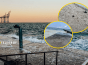 Море в Одессе