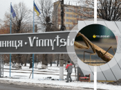 Богомол у Вінниці