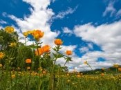 Июнь будет теплым