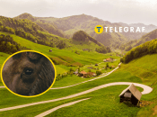 Загадочный "гость" был замечен в селе на Киевщине