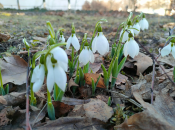 Погода в Україні на вихідні