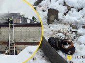 Колаж "Телеграфу"