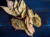 Стирка с лавровым листом