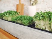 Влаштуйте міні-версію городу