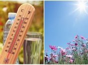 В Украине становится все теплее