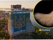 Гості міста прогулювалися вулицями