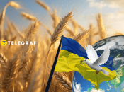 Какой должна стать Украина