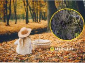 Теплі дні восени — як привіт літа, що минуло