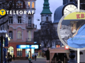 Колаж "Телеграфу"