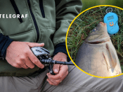 Коллаж "Телеграфа"