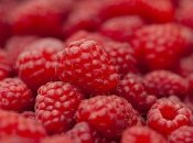 Узнайте, чем обработать малину, чтобы в ней не заводились черви