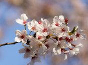 Що можна і не можна робити 21 березня