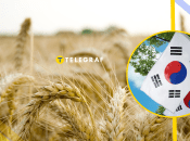 Увеличение экспорта в Южную Корею