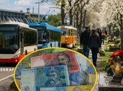 Бесплатный проезд