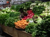 На столичных прилавках