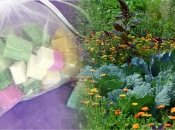 Польза старых кусочков мыла для урожая