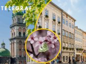 Погода во Львове