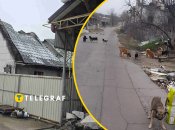 90% будівель в Антонівці пошкоджено