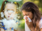 Багато українців страждають під час появи тополиного пуху