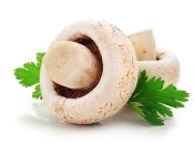 Грибы в детском питании