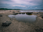 Жизнь без Каховского водохранилища: как разрушение ГЭС можно использовать в плюс Украине