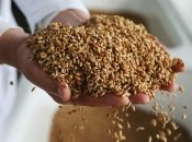 В Украине решение назвали "полумерой"