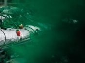 Полуниця вимагає особливого догляду у серпні