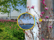 Погода у Дніпрі