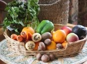 Цены на овощи и фрукты в течение лета в Украине должны снижаться