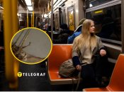 У львівському трамваї знайшли мумію