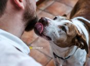 Цей жест висловлює прихильність, повагу і не лише