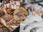 Риба є цінним джерелом білка