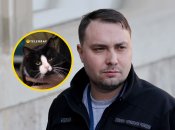 Кіт Гюнтер — один із домашніх улюбленців Кирила Буданова