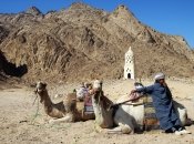 Мошенники не дремлют: как не остаться без денег в чужой стране