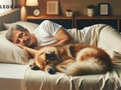 Тварини відчувають більше, ніж ми