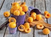 Вкус лета: 3 рецепта из абрикос