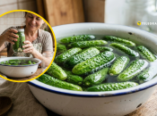 Огурцы солят и маринуют