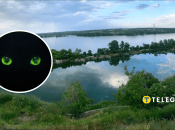 На Дніпропетровщині побачили небезпечного хижака