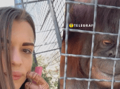 Анастасія Лучкіна дала покурити вейп орангутангу Дани