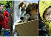 С собой самое ценное - горстка вещей и животные: как проходит эвакуация Волчанска и окрестностей (репортаж)