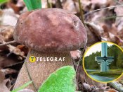 Грибные места Волыни