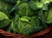 Узнайте, чем обдать капусту весной, чтобы летом не было гусеницы