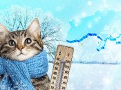 Погода в Украине в начале января