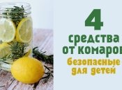 4 натуральных средства от комаров для детской комнаты