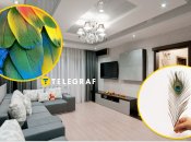 Чому вдома не можна зберігати пір'я птахів